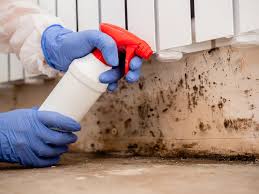 Biohazard Mold Removal in Effingham, IL